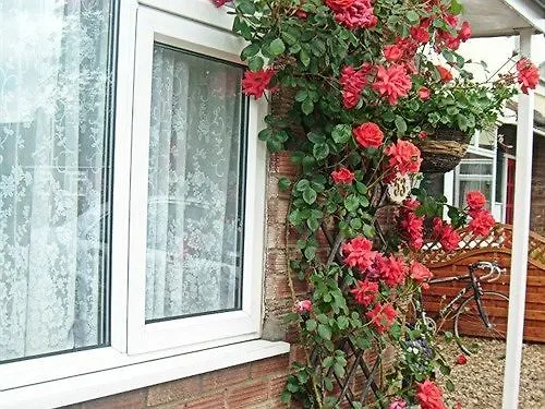 Rosa'S Bed And Breakfast Cambridge  Bed & Breakfast Cambridge (Cambridgeshire)